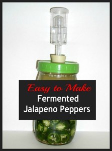 Easy to Make Fermented Jalapeno Peppers