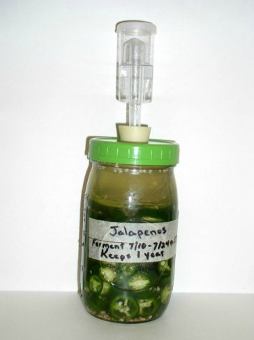 Fermenting Jalapeno Peppers