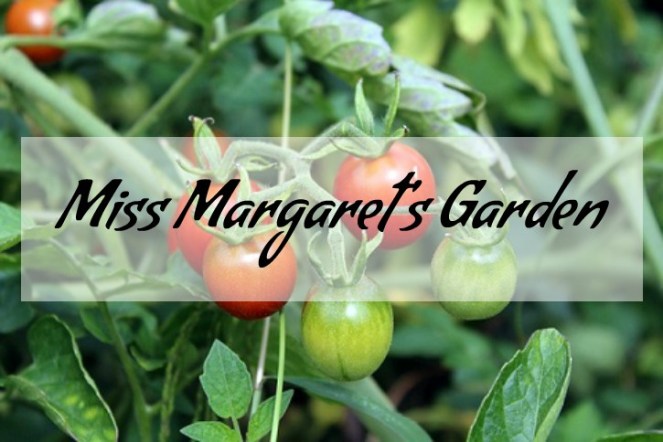 Miss Margaret's Garden
