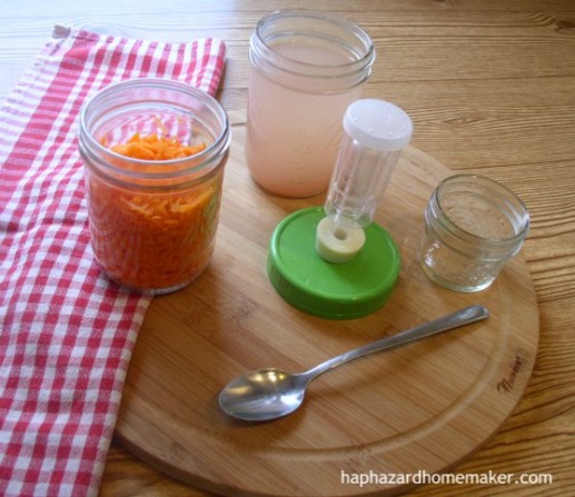 Easy Fermented Carrots