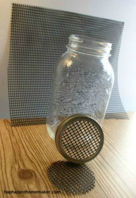 DIY Sprouting Jar haphazardhomemaker.com
