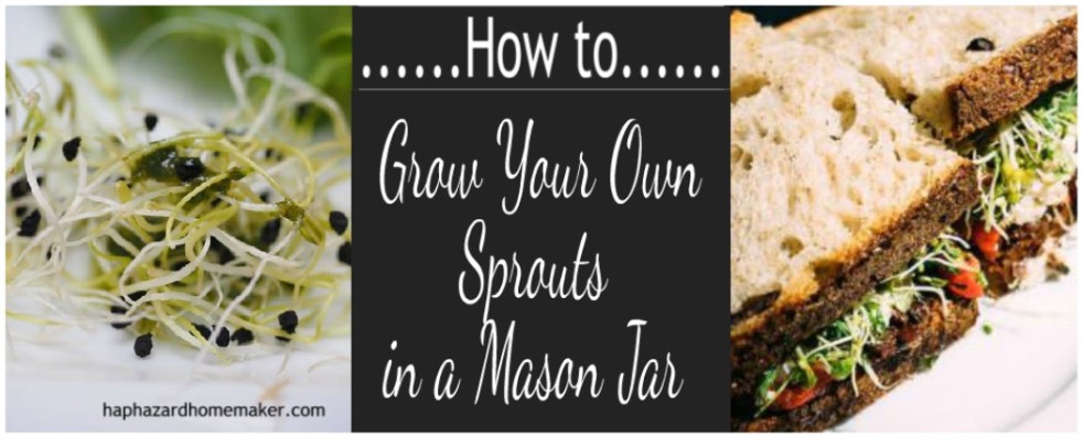 Sprouts Grow Your Own Collage - haphazardhomemaker.com