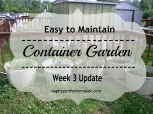 Easy to Maintain Container Garden Week 3 Update - haphazardhomemaker.com
