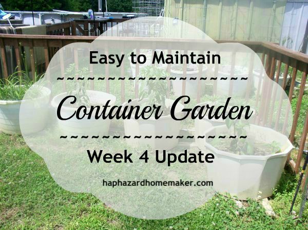 Simple Container Garden Update - haphazardhomemaker.com