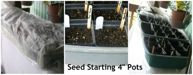 Update 2 Container Garden, Seed Starting - haphazardhomemaker.com