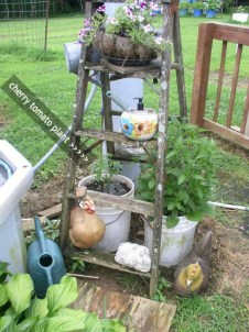 Week 8 Update Ladder #1