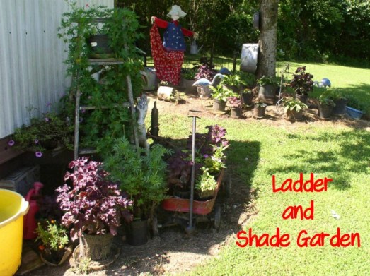 Ladder & Shade Garden