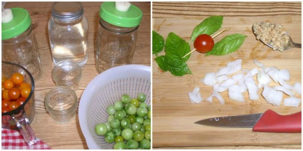 Fermenting Cherry Tomatoes Ingredients