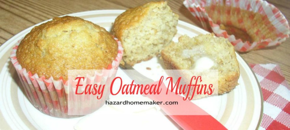 Oatmeal Muffins on a plate with red gingham napkin