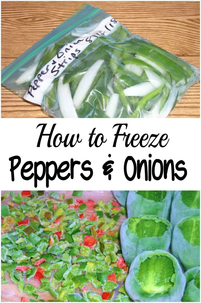 How to Freeze Peppers & Onions - haphazardhomemaker.com