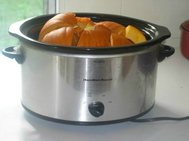 Cook Pumpkin in Slow Cooker - haphazardhomemaker.com
