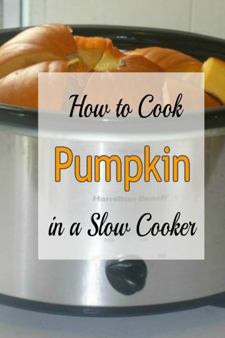 How to cook Pumpkin in a Crock Pot -haphazardhomemaker.com