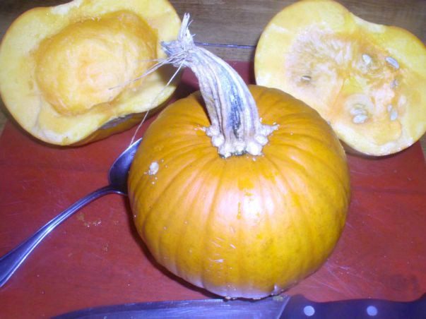 How to make pumpkin puree - haphazardhomemaker.com
