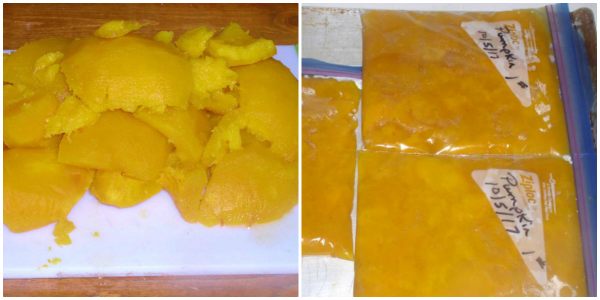 How to freeze homemade Pumpkin Puree haphazardhomemaker.com