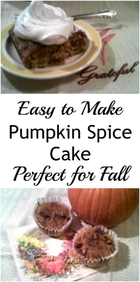Pumpkin Spice Cake - haphazardhomemaker.com