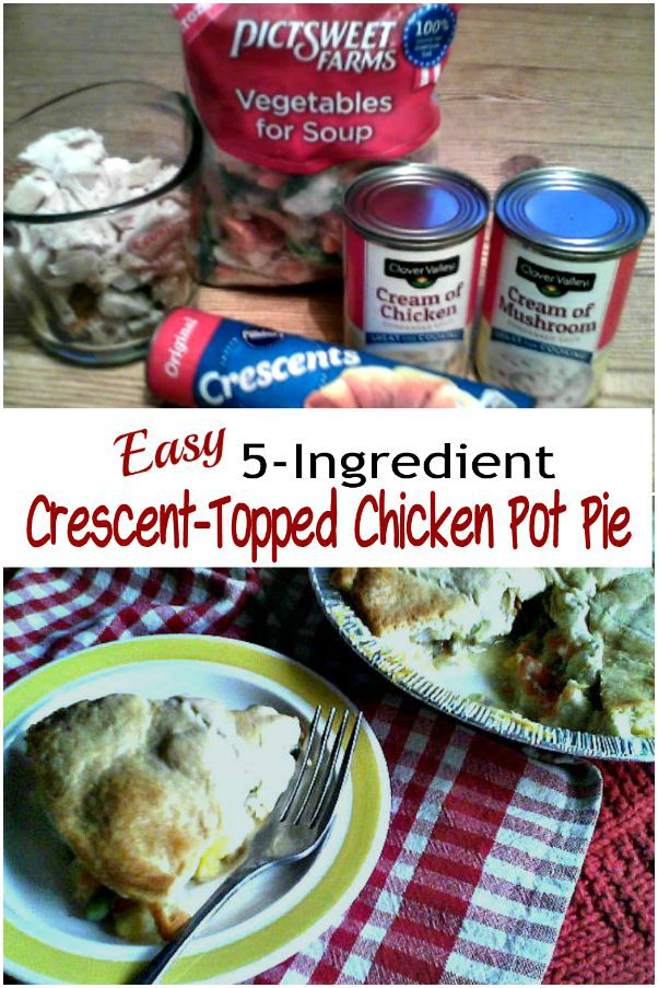 Easy 5-Ingredient Crescent-Topped Chicken Pot Pie -haphazardhomemaker.com